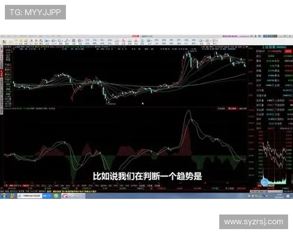 周娜独家分享足球心得与技巧解析助你提升球技与战术理解